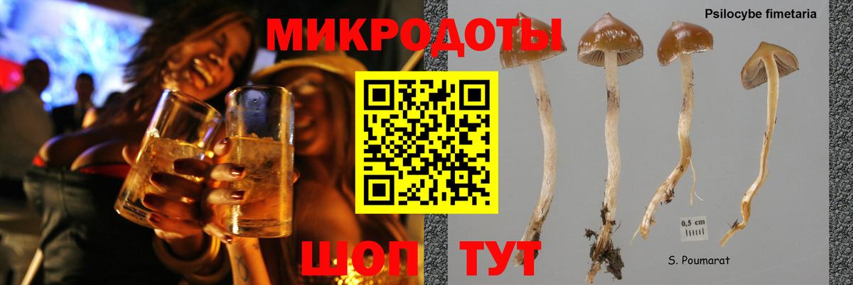 Псилоцибиновые грибы прущие грибы Благодарный